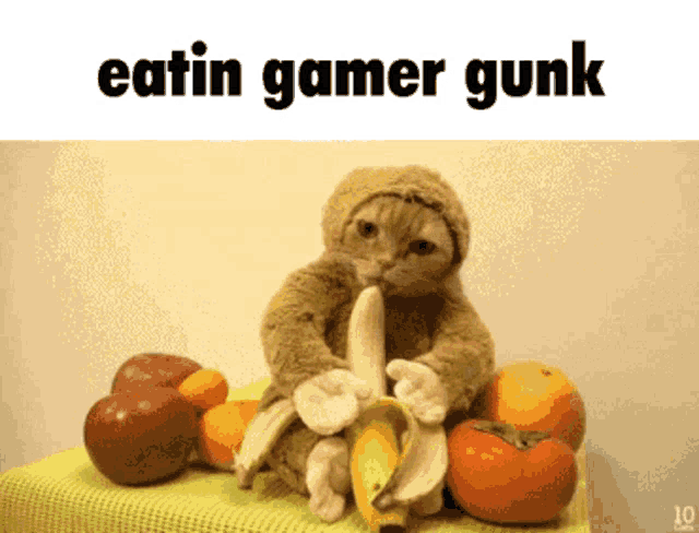 a cat dressed as a monkey eating a banana
