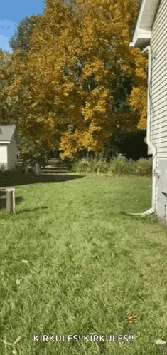 a picture of a yard with the words kirkules kirkules on it