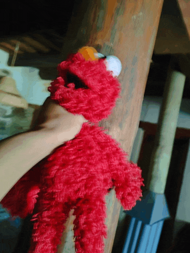a person holding a red elmo stuffed animal on a wooden table