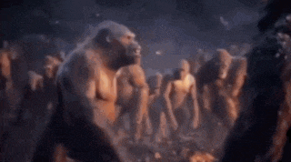 a monkey is standing in the middle of a rocky area .