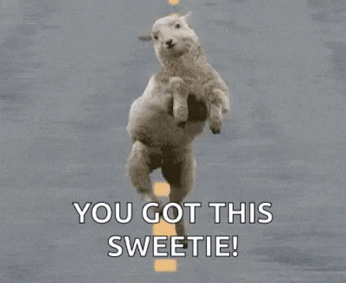 Sheep Cute GIF - Sheep Cute Dancing GIFs