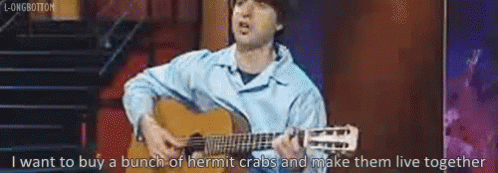 I Want To Buy A Bunch Of Hermit Crabs GIF - Hermit Buy Bunch GIFs