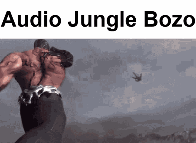a picture of a video game character with the words audio jungle bozo at the top