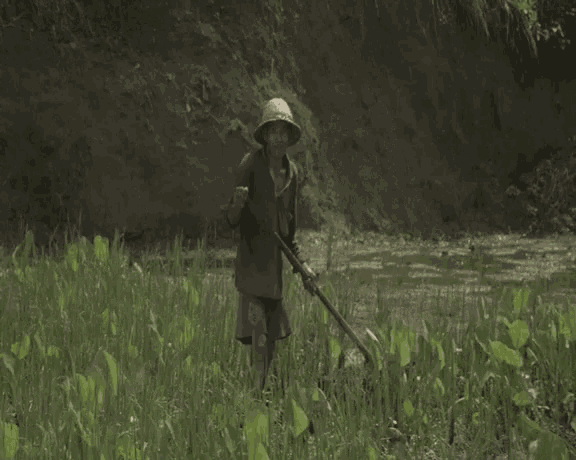a man in a hat is standing in a field with a stick