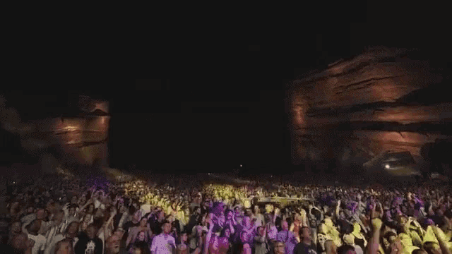 The Crowd Fans GIF - The Crowd Fans Audience GIFs