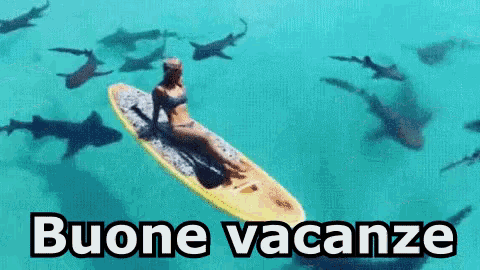 a woman is sitting on a surfboard in the ocean with sharks swimming around her .