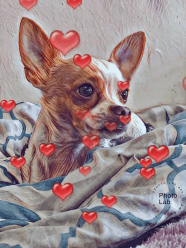 a painting of a chihuahua with hearts around its face