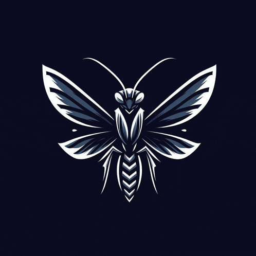 a praying mantis with a butterfly shaped wing on a dark background