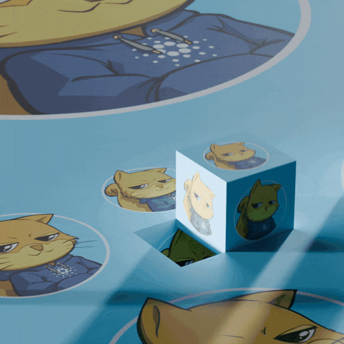 a cube with a picture of a cat on it sits on a blue surface