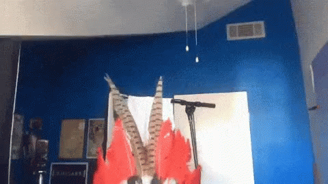 Mask Feather GIF - Mask Feather Silly GIFs