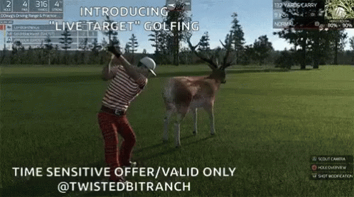 Live Target Golf GIF - Live Target Golf Deer Hunting GIFs