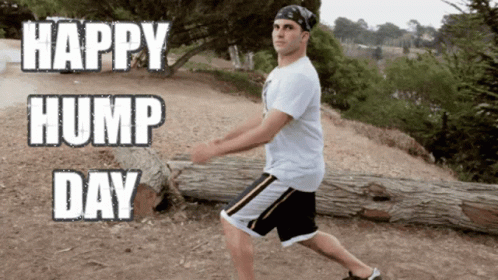 Happy Hump Day Mood GIF - Happy Hump Day Mood Squat GIFs