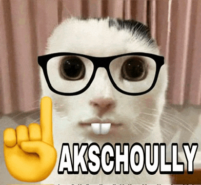 a picture of a cat wearing glasses with the words akschoully written below it