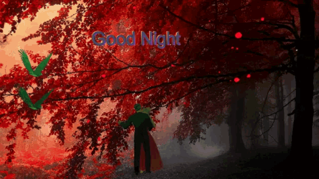 a man in a red cape is standing in a forest with the words good night written above him