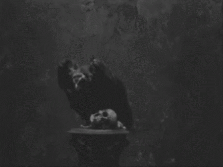 Death Dying GIF - Death Dying Crow GIFs