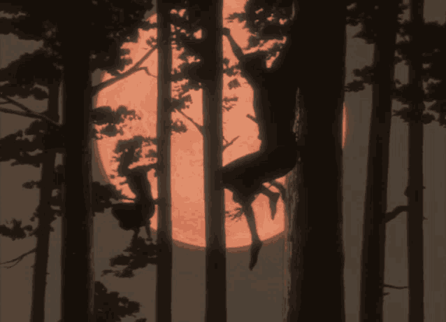 a silhouette of a person climbing up a tree with a full moon in the background