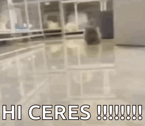 a blurred image of a room with the words `` hi ceres ! ''