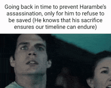 Harambe Back In Time GIF - Harambe Back In Time Timeline GIFs