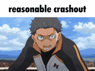 a picture of a cartoon character with the words reasonable crashout above him
