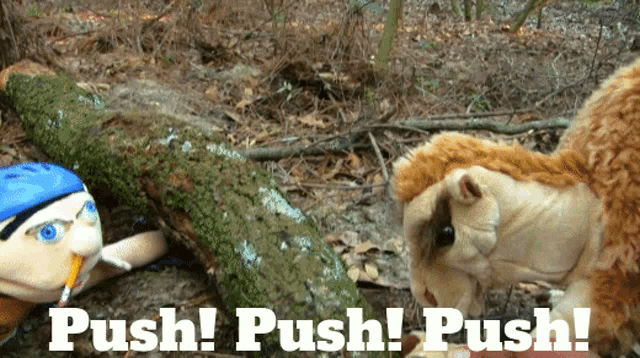 a picture of a stuffed animal with the words push push push written below it