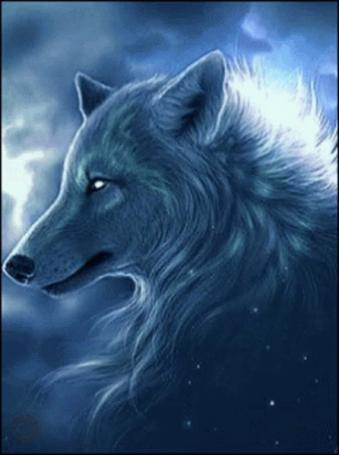 Wolf White Wolf GIF