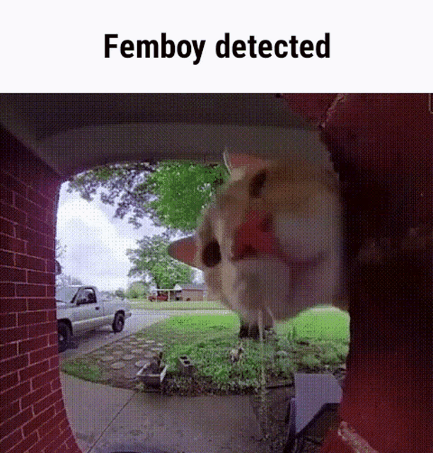 Femboy Femboy Detected GIF - Femboy Femboy Detected Outdated Moment GIFs