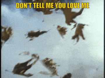 a bunch of animals flying in the air with the words " don t tell me you love me "