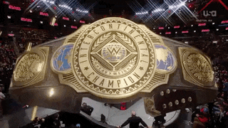 a gold wrestling belt that says ' intercontinental champion ' on it