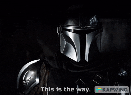 a man in a helmet holding a gun with a green x and the words this is the way