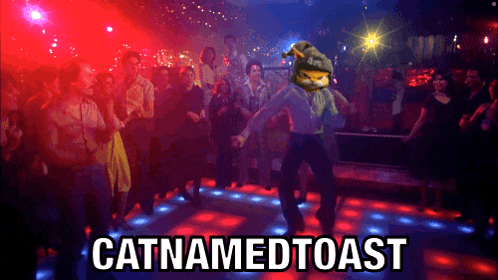 a cat named toast is dancing on a disco floor