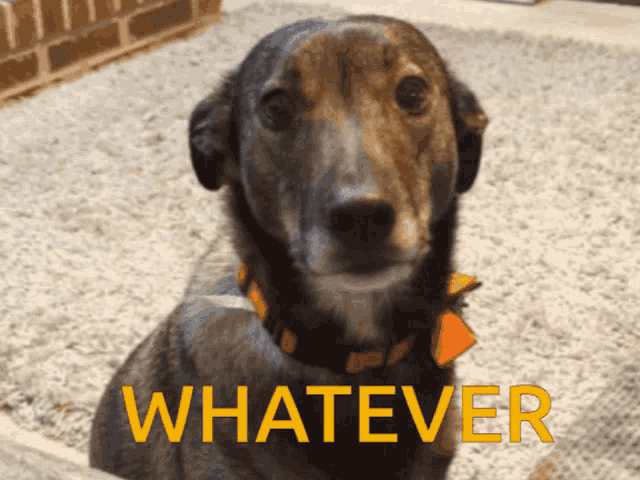 Whatever Eye Roll GIF
