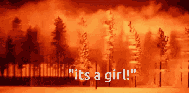 a picture of a forest with the words " it 's a girl " on the bottom