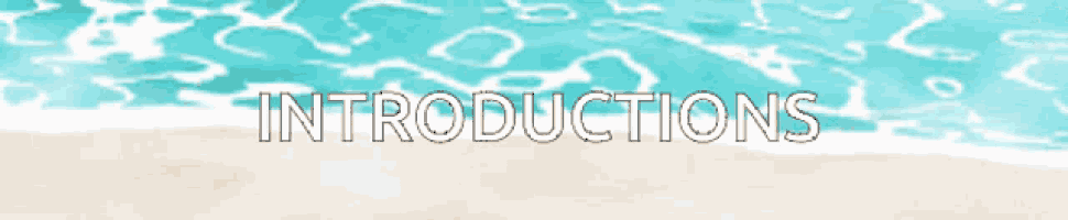 a beach scene with the words introductions in white letters