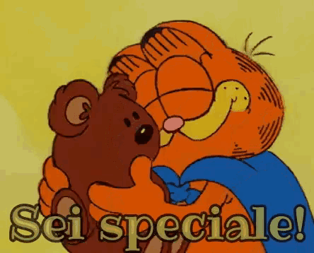garfield is hugging a teddy bear with the words sei speciale written below him