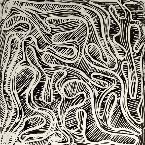 a black and white drawing of a maze with lines and swirls