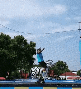 a man is jumping on top of a zebra on a trampoline