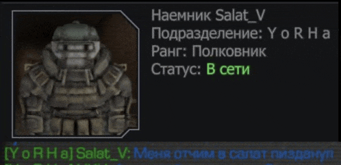a picture of a robot with the name salat v
