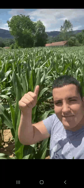 a man giving a thumbs up in front of a field of corn
