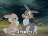 two rabbits are sitting next to each other in a field with the words `` twitterpated '' written on the bottom .