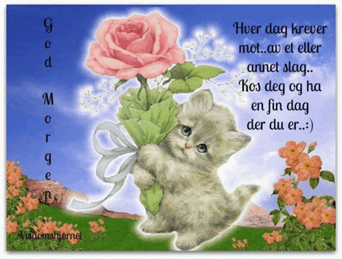 a picture of a kitten holding a pink rose with the words " hvor dag krever mot "