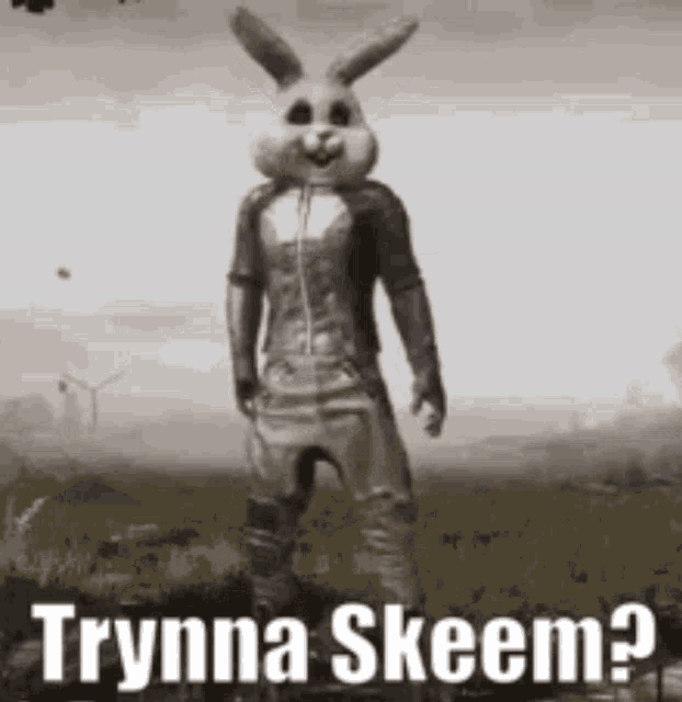 Trynna Skeem GIF - Trynna Skeem Bunny GIFs