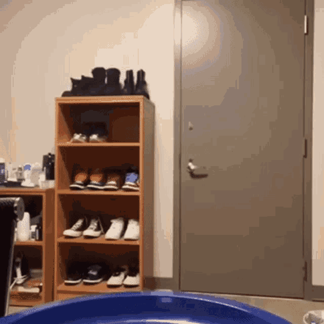 a black cat is sitting on top of a shoe rack in a room .