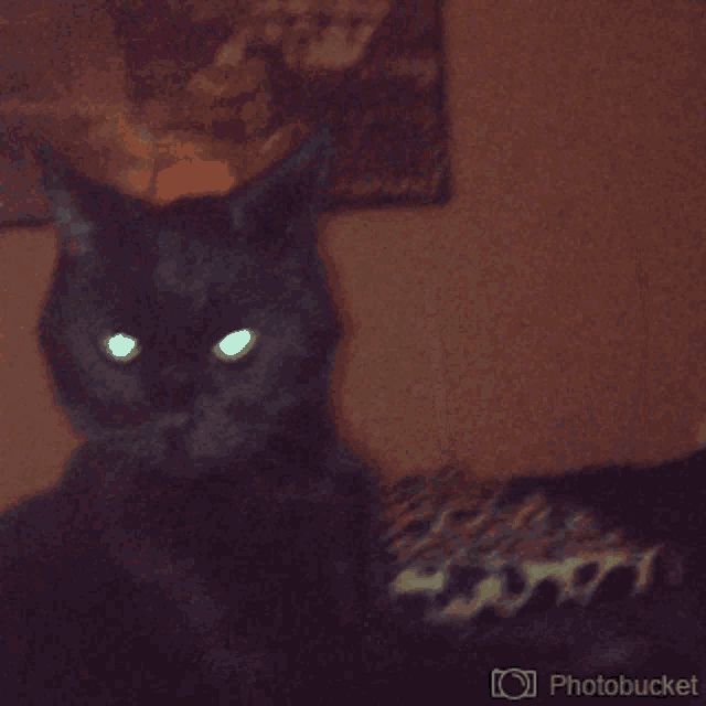 a dark room with a photobucket watermark on the bottom left