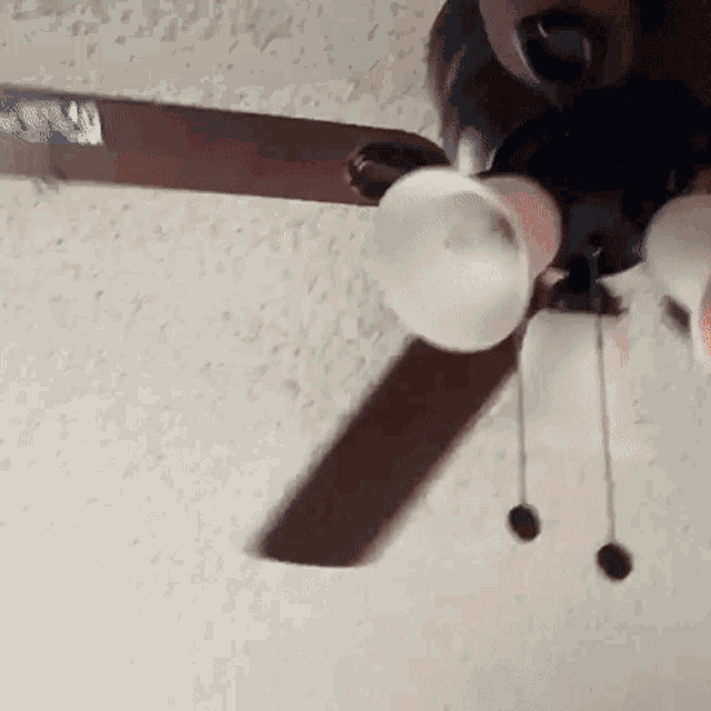 a close up of a ceiling fan on a ceiling in a room .