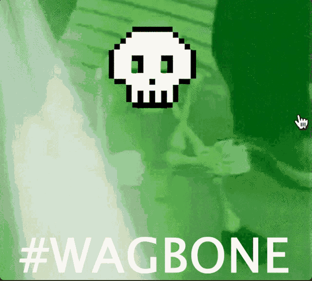 a green background with a pixelated skull and the words # wagbone