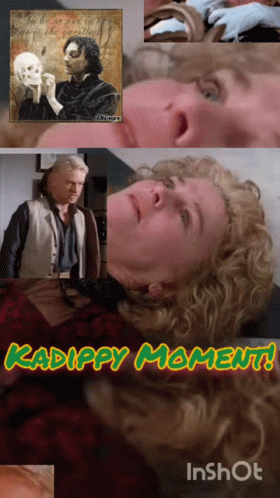 Kadippy Moment Kadippy GIF - Kadippy Moment Kadippy Dippyland GIFs