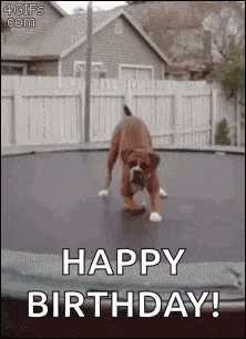 a dog is jumping on a trampoline with the words `` happy birthday '' written on it .