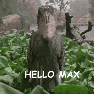 a bird with a large beak is standing in a field with the words hello max written below it