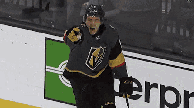 a hockey player celebrates a goal in front of a banner for error