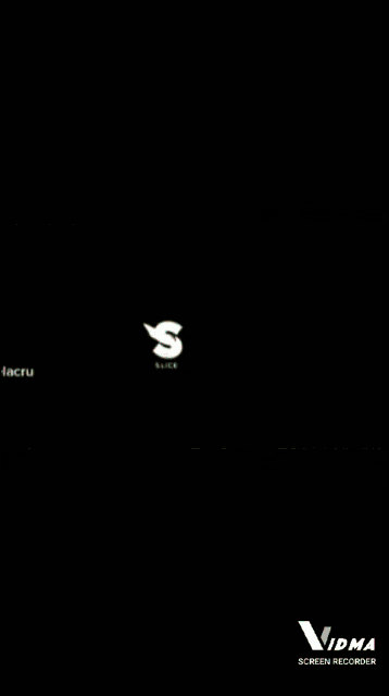 a pixelated image with the word vidma screen recorder at the bottom